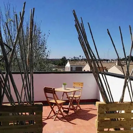 Checkin Valencia 酒店 阿拉卡斯